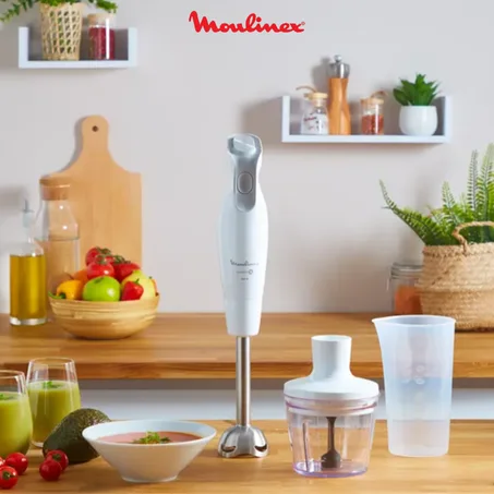 Mixeur  plongeant  Moulinex 600W