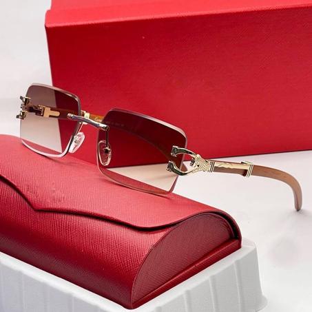 Lunettes homme CRT6