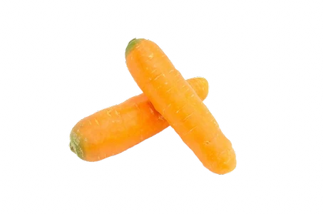 جزر