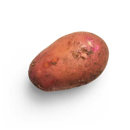 طماطم