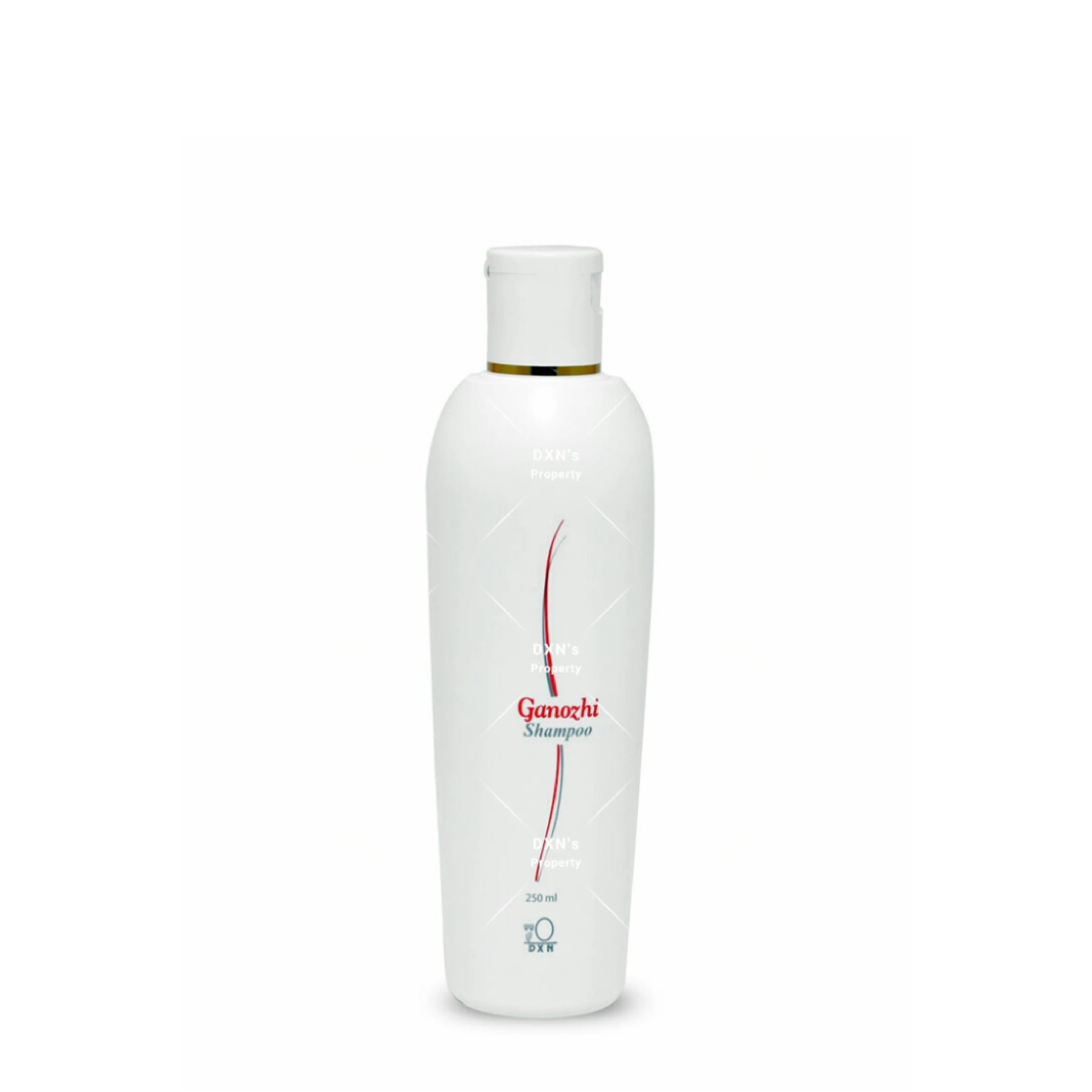 GANOZHI SHAMPOO