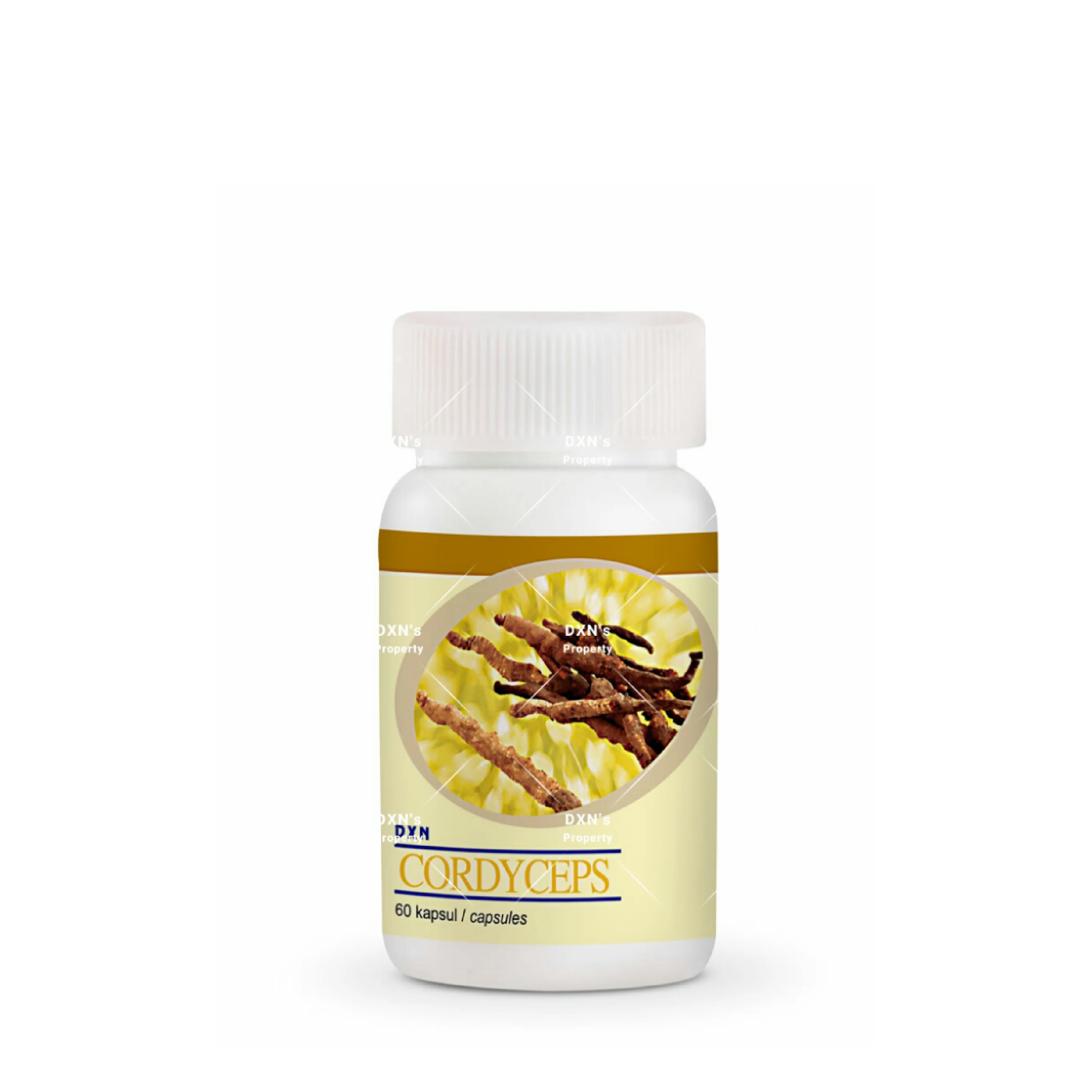 CORDYCEPS