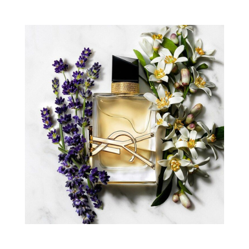 Liber YSL