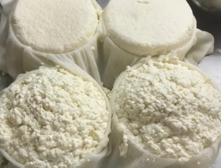 Présure Microbiologique Liquide 1/15000 - Haute Concentration pour Fromage