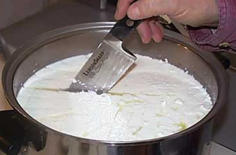 Présure Microbiologique Liquide 1/15000 - Haute Concentration pour Fromage