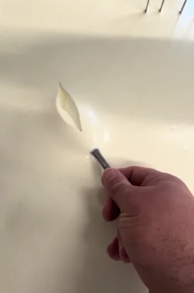 Présure Microbiologique Liquide 1/15000 - Haute Concentration pour Fromage