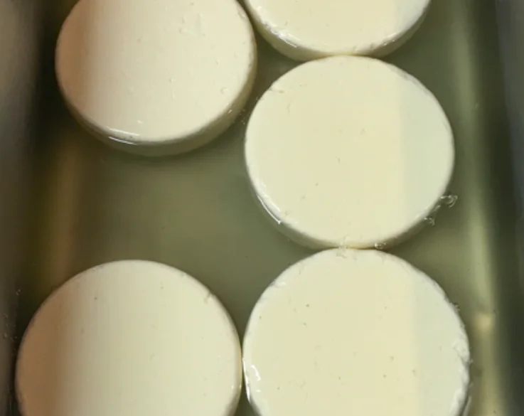 Présure Microbiologique Liquide 1/15000 - Haute Concentration pour Fromage