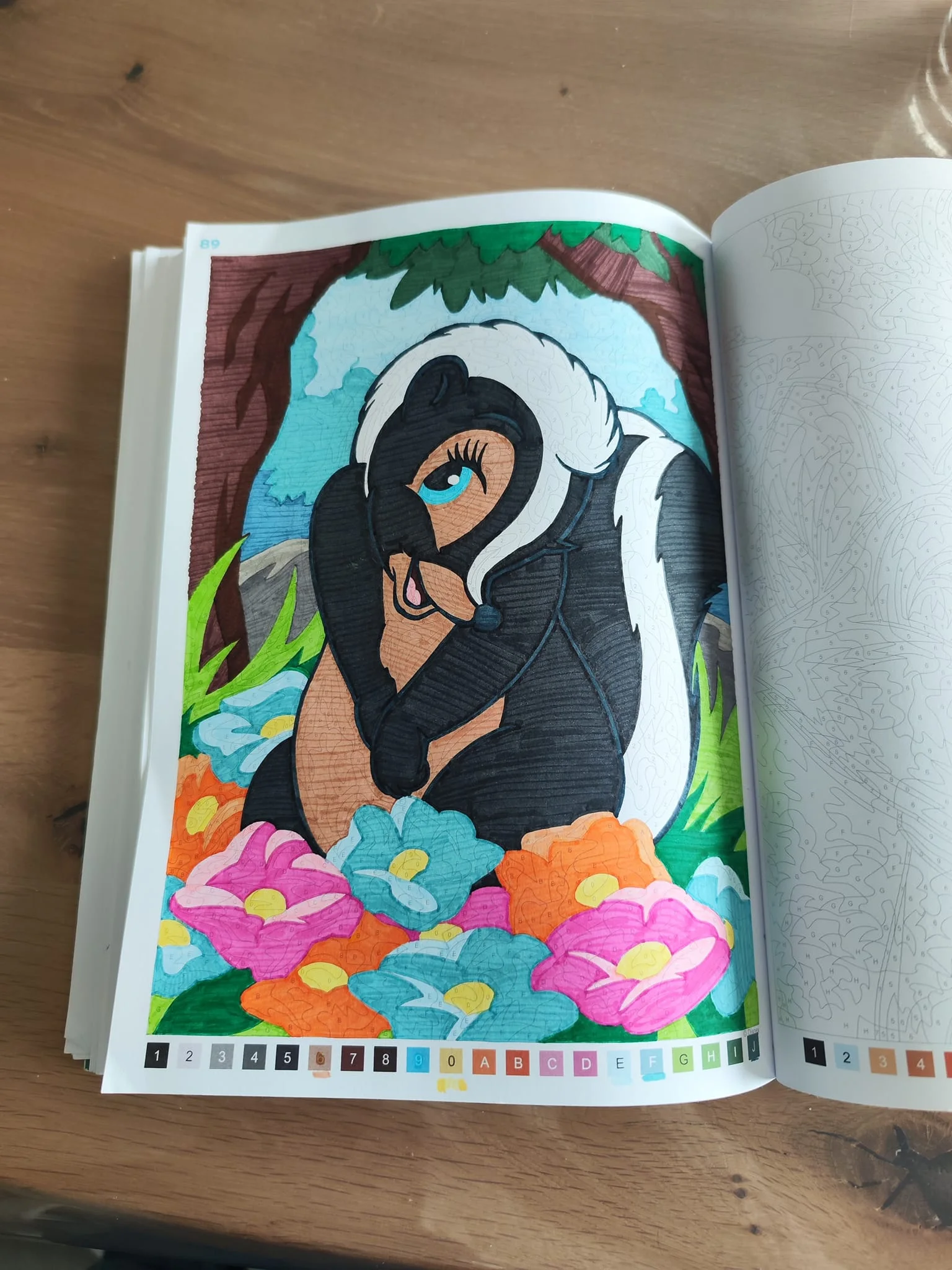 Superbe ensemble de pages à colorier (livre de plus de 100 pages)