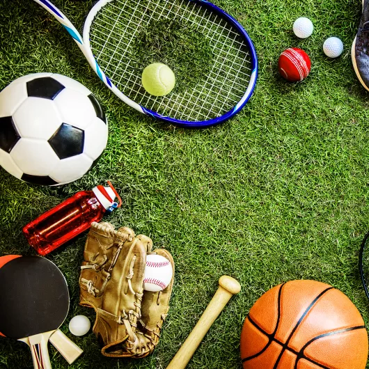 Sports
