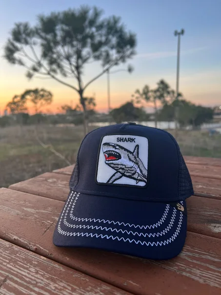 casquette the shark