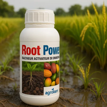 Root Power pour Renforce les racines.