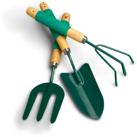 المنزل والحديقة والأثاث