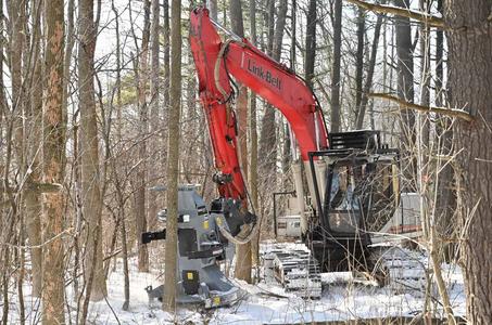 Baumalight Feller Buncher Tree Saw For Excavator