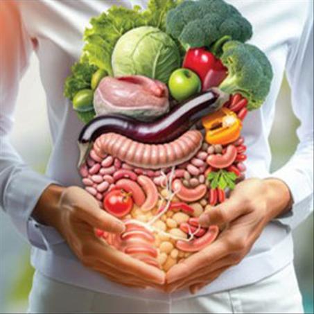 DIGESTION CONRORT, TRANSIT, DETOX