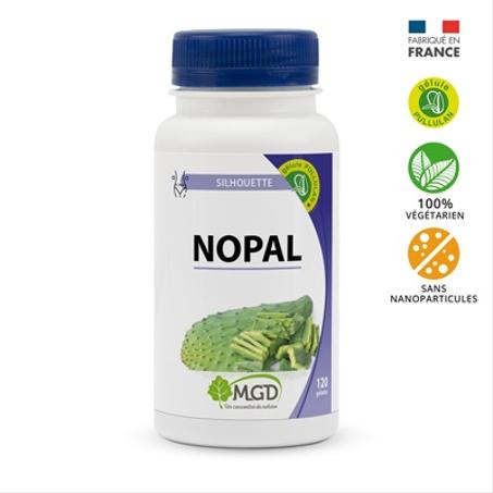 Nopal