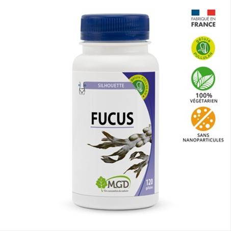 Fucus