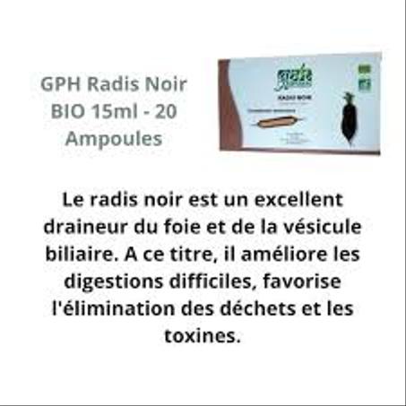 GPH DIFFUSION Radis Noir BIO 15ml | 20 ampoules