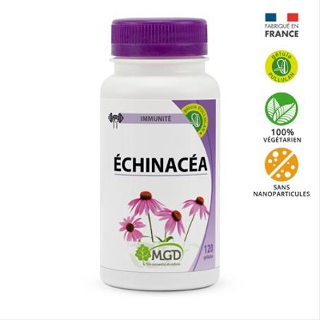 Échinacéa