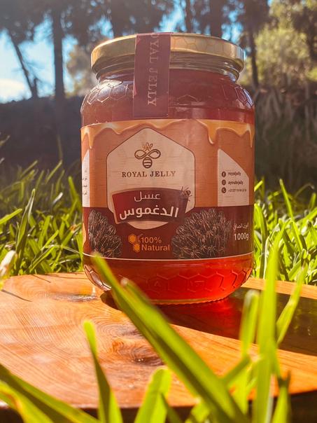 euphorbia honey - عسل الدغموس