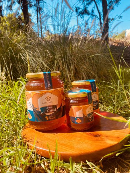 Eucalyptus honey- عسل الاوكاليبتوس