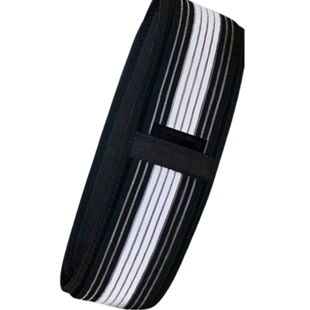 حزام أسفل الظهر