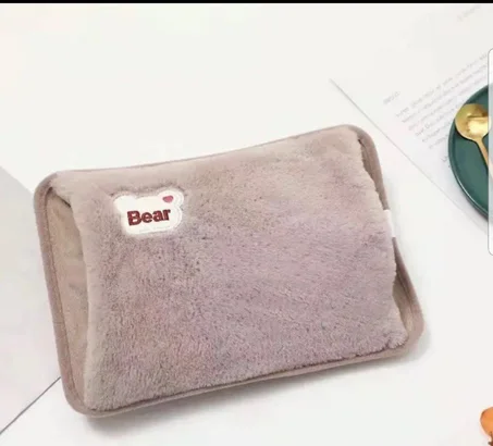 Bouillotte électrique