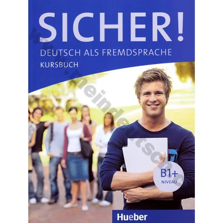 Sicher!: Arbeitsbuch B1