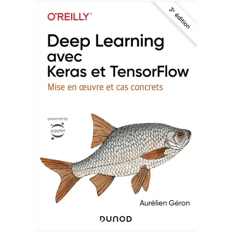 Deep Learning avec Keras et TensorFlow - 3e édition: Mise en oeuvre et cas concrets - Paperback