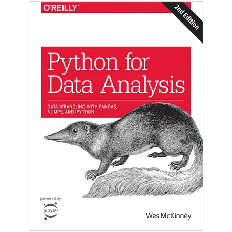 Python for Data Analysis: Data Wrangling with Pandas, NumPy, and IPython 2nd Edition - Paperback
