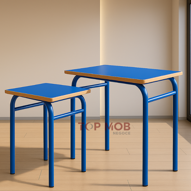 Table scolaire individuelle sans casier