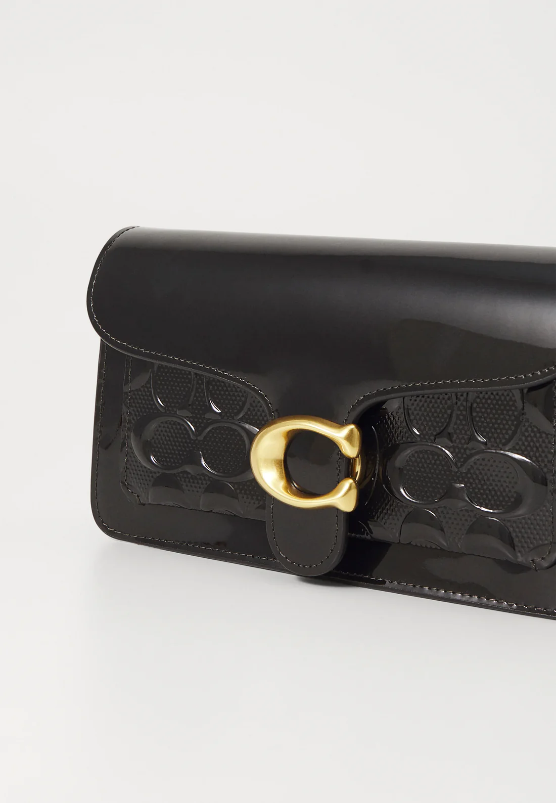 Sac de luxe pour femme / F3000207