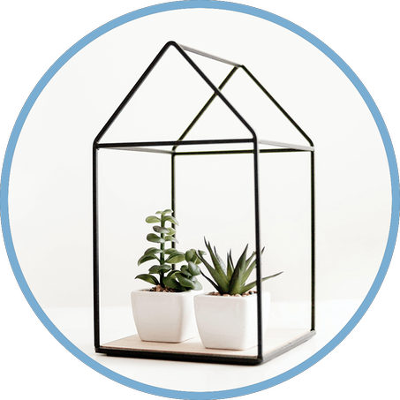 المنزل والحديقة