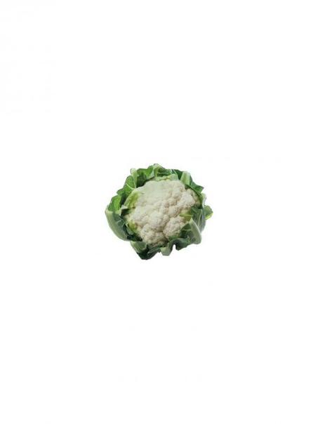Choux - Fleur - شوفلور