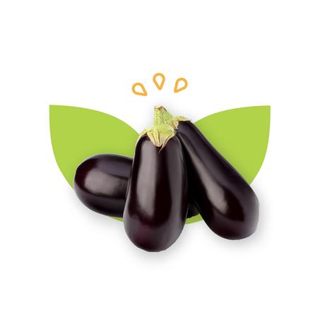 AUBERGINE - باذنجان
