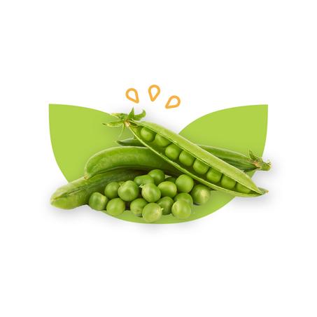 PETIT POIS - جلبانة