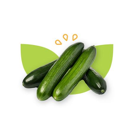 CONCOMBRE - خيار