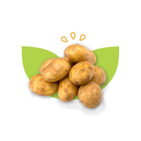 POMME DE TERRE BLANCHE - بطاطة بيضاء