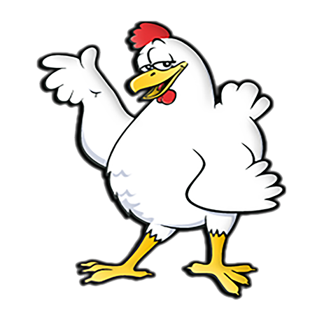 الدجاج - Poulet