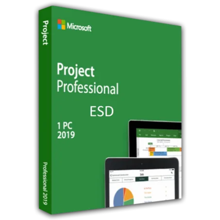 Ms Projeect 2019 Professional