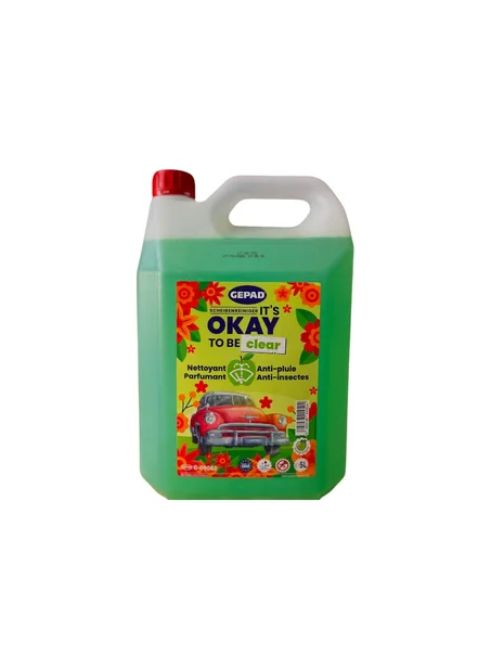 GEPAD - Liquide lave glace pomme 5 litres ANTI-PLUIE