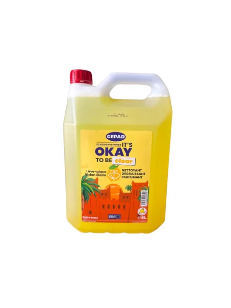 GEPAD - Liquide lave glace citron 5 litres ANTI-PLUIE