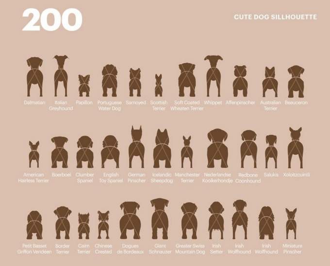 200 Dog Silhouette Bundle SVG
