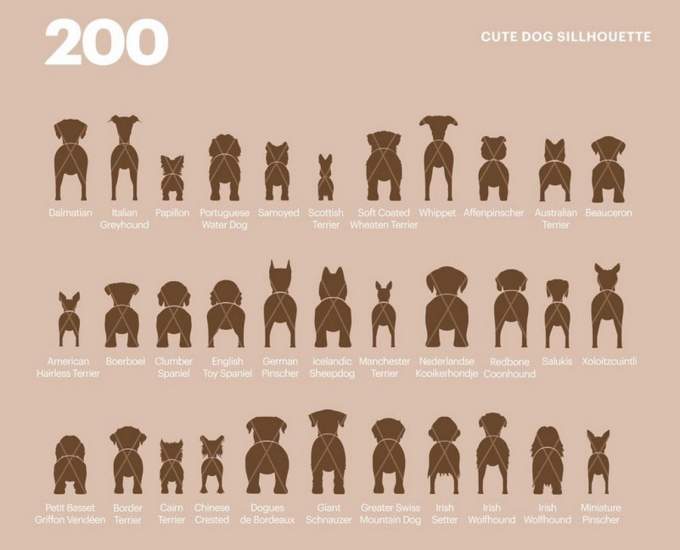 200 Dog Silhouette Bundle SVG