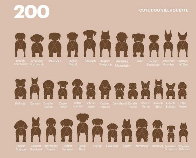 200 Dog Silhouette Bundle SVG
