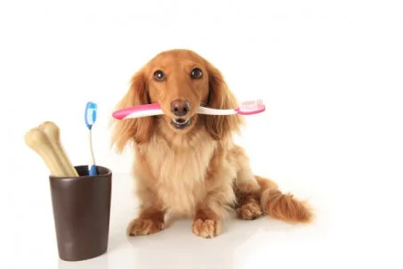 Soins & Hygiène