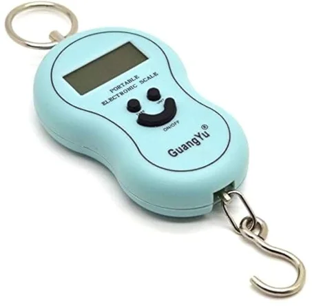 ميزان السفر الإلكتروني