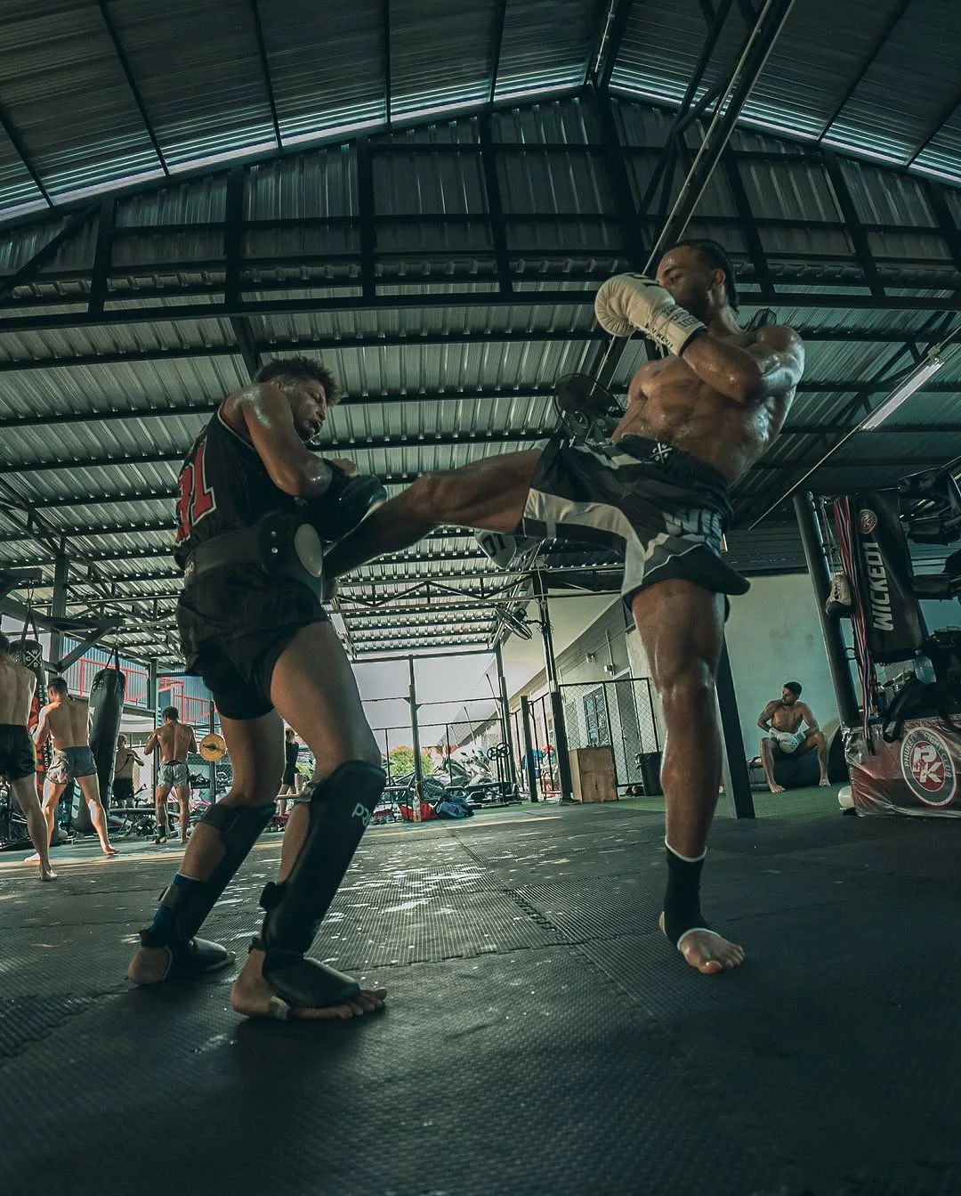 MMA SHORT EAGER OTOSHI NOIR