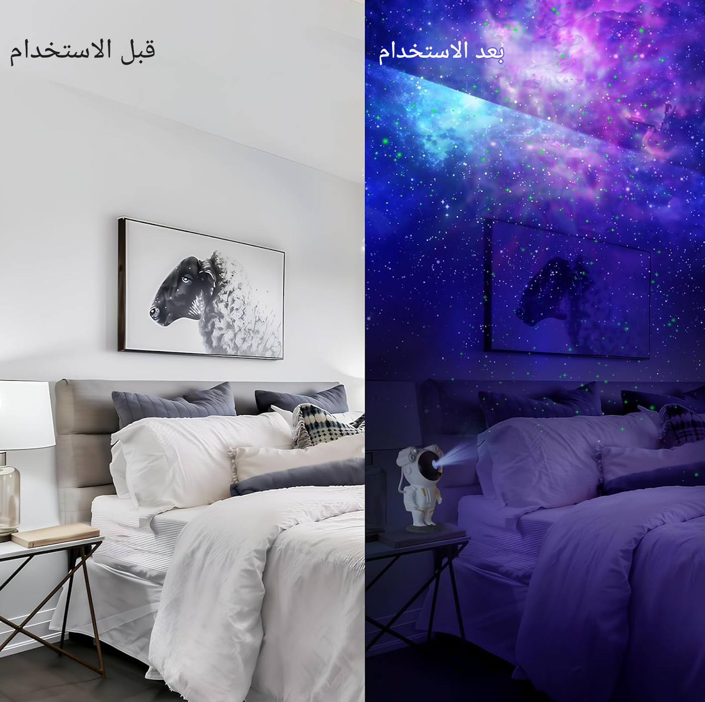 stores/81cf0ffcd437a0dc499dd992c02925f0/products/2BpZbU8P91ZDreMXtKlbQYIWHhWRp9l1YOUKPAiP.png