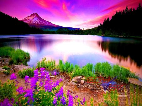 الجمال والعطور