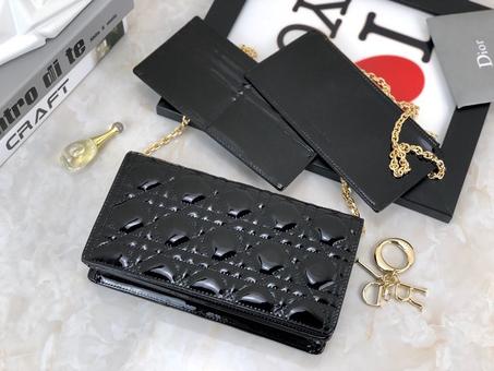 DIOR POUCH